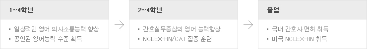 국제간호특성화과정